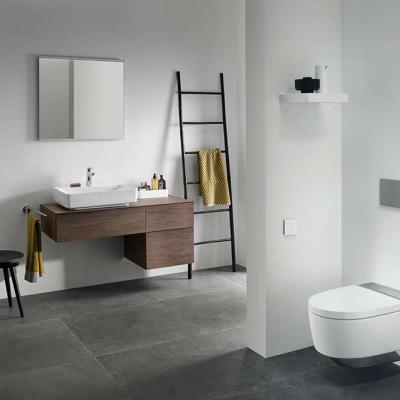 Geberit Variform 04