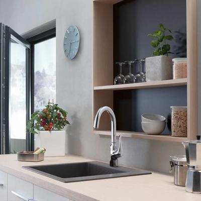 Hansgrohe Focus 08