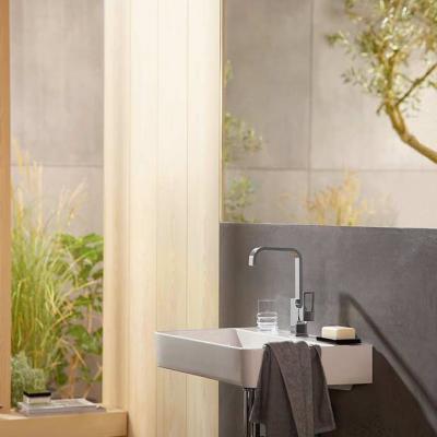 Hansgrohe Metropol 02