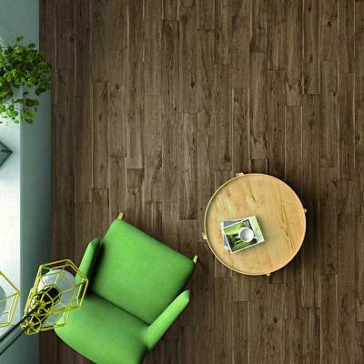 Ragno Woodlike 02