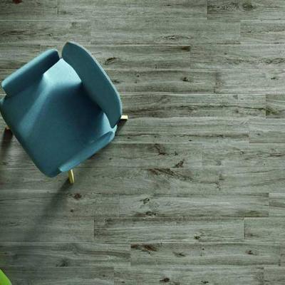 Ragno Woodlike 03