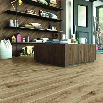 Ragno Woodlike 04