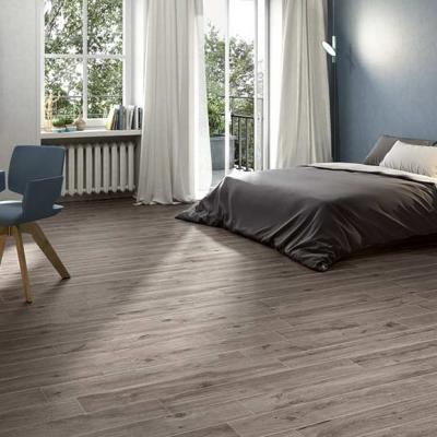 Ragno Woodlike 06